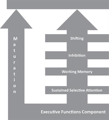 Frontiers Assessment of executive functions in school aged